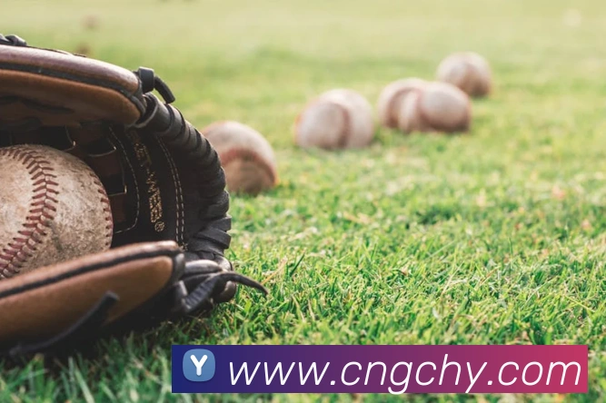 奖项2